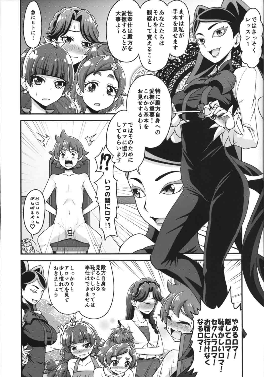 (C88) [Koppun (Hone)] Go! Kirakira Princess Lesson! (Go! Princess PreCure) page 5 full