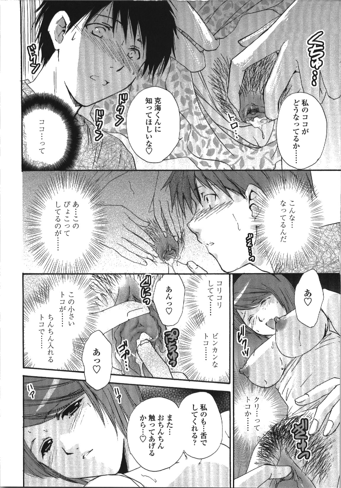 [Shou Akira] Seme Ane page 41 full