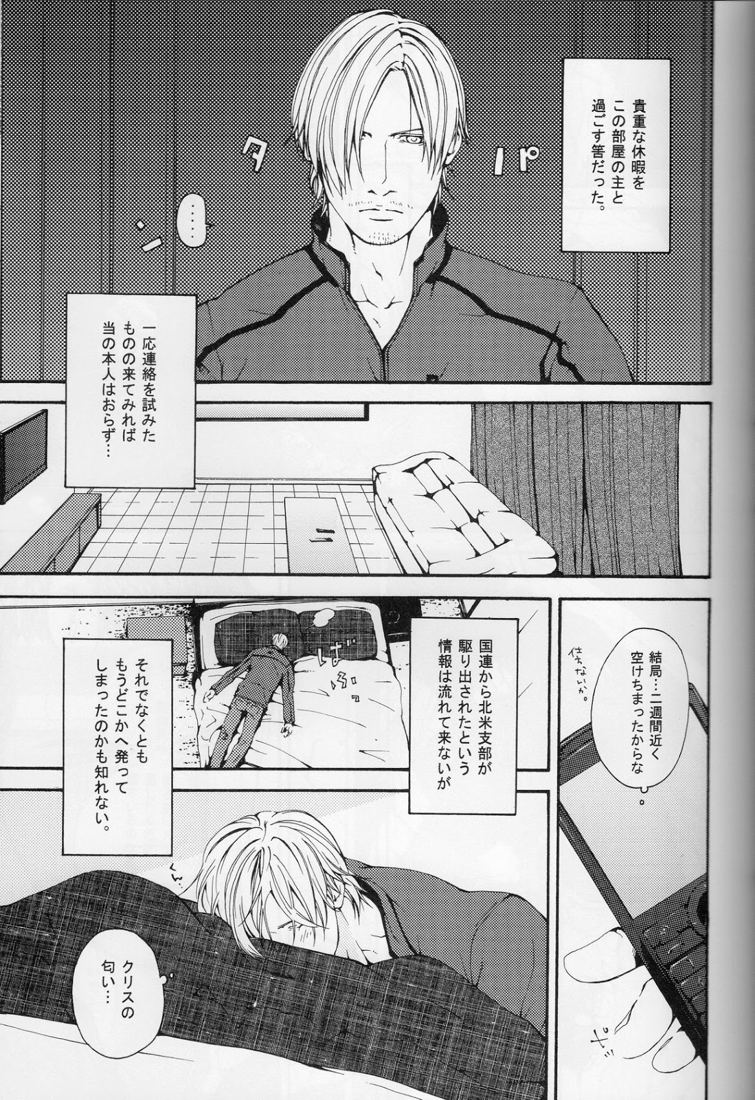 (C84) [clr, 12.5 (Akizou, Mizuki)] Answer (Resident Evil) page 19 full