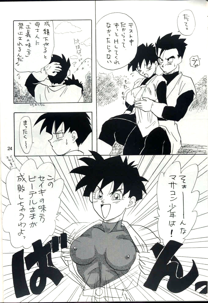 [Chirigami Goya, Fusuma go Ten (Shouji Hariko)] YYY (Dragon Ball) page 24 full