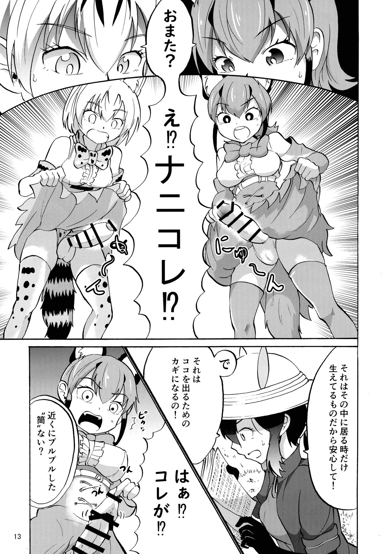 (Friends Chihou 10) [Wara Park (Various)] Kemoshiko! Kabuto Awase Goudou (Kemono Friends) page 13 full