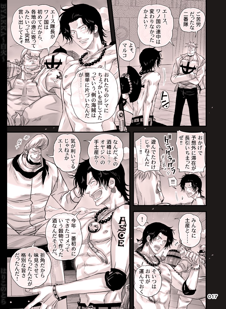 [Hariko no Tora (Midoh Torako)] BYAKKA (One Piece) [Digital] page 17 full