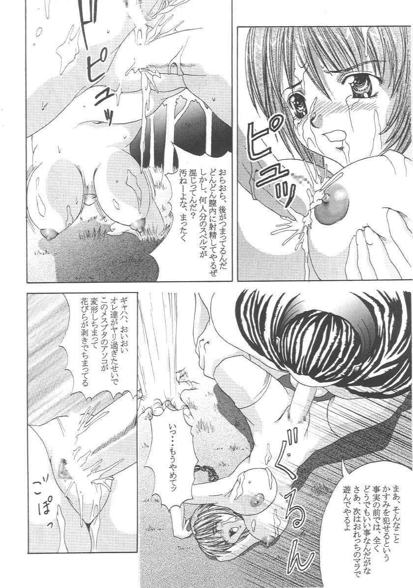 (CR27) [Abura Katabura (Papipurin)] Kasumi Jigoku Hen (Dead or Alive) page 19 full