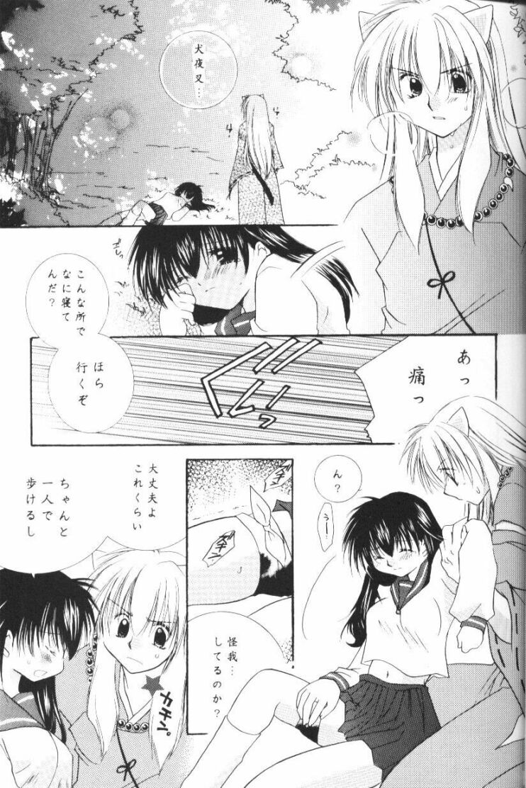 (CR33) [Sakurakan (Seriou Sakura)] Hoshikuzu Drop (Inuyasha) page 18 full