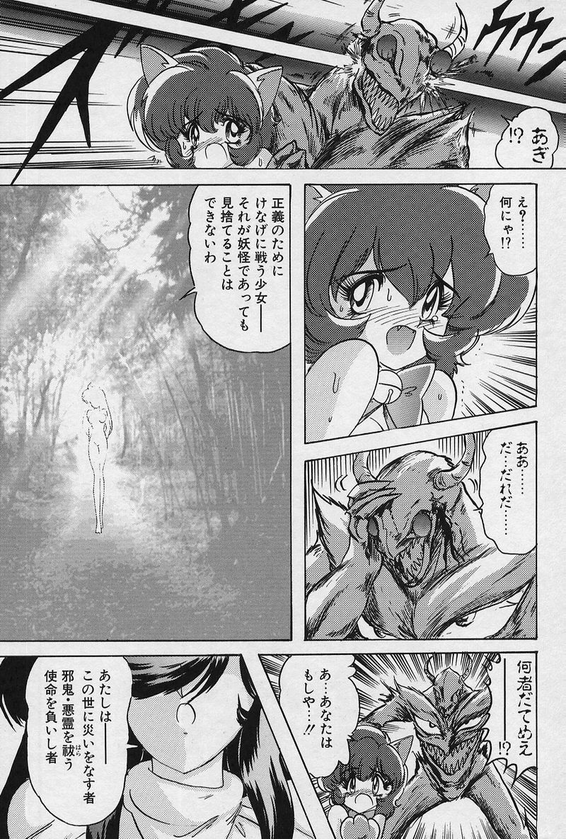 [Kamitou Masaki] Fairy Saver V page 196 full