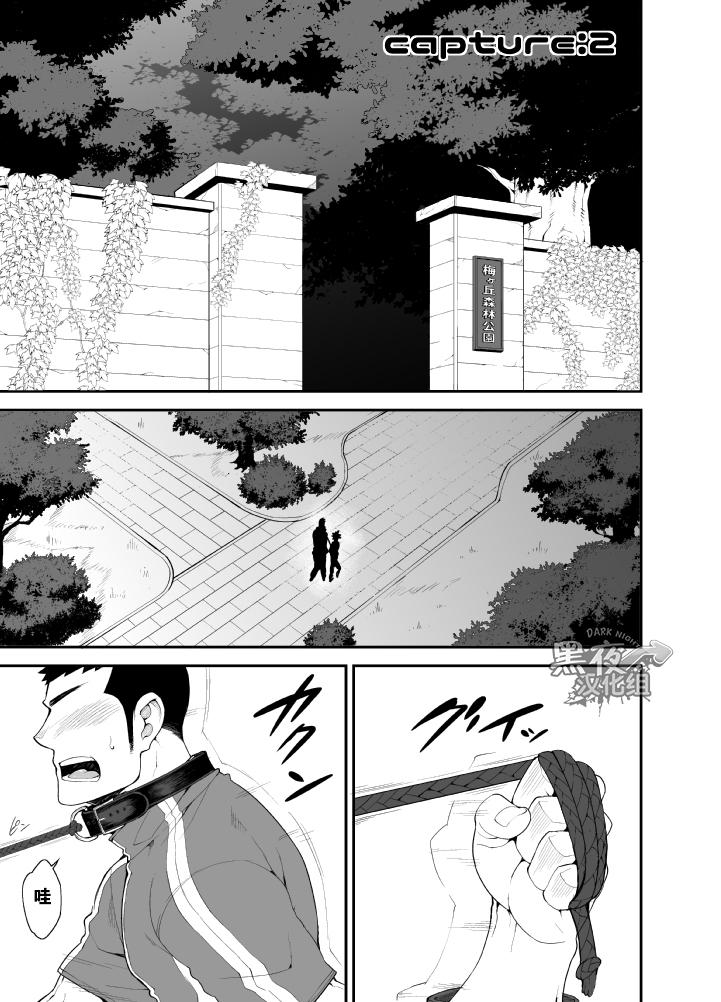 [anything (naop)] capture:2 [Chinese] [黑夜汉化组] [Digital] page 3 full