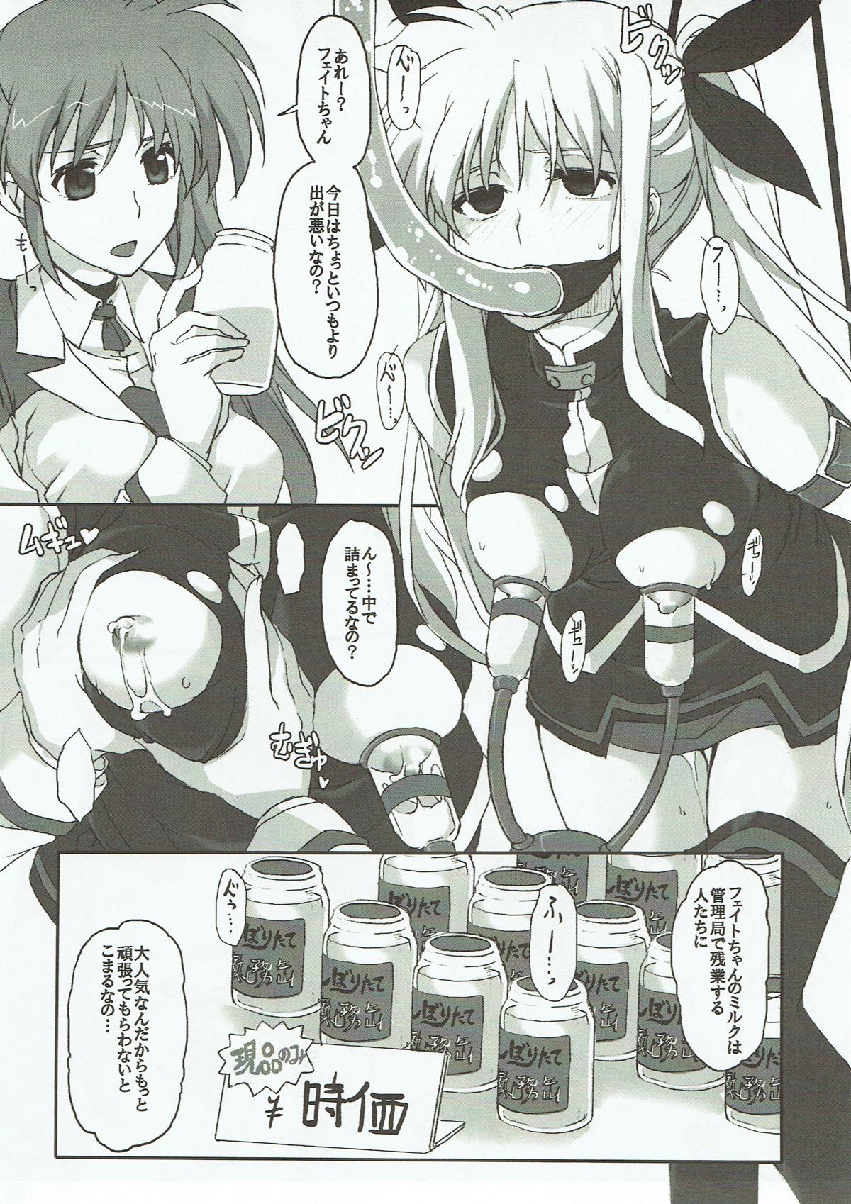 (C91) [STROLL IN THE WOODS !! (ELF)] Fate-san ga Iranai Chishiki o Eta you desu (Mahou Shoujo Lyrical Nanoha) page 6 full
