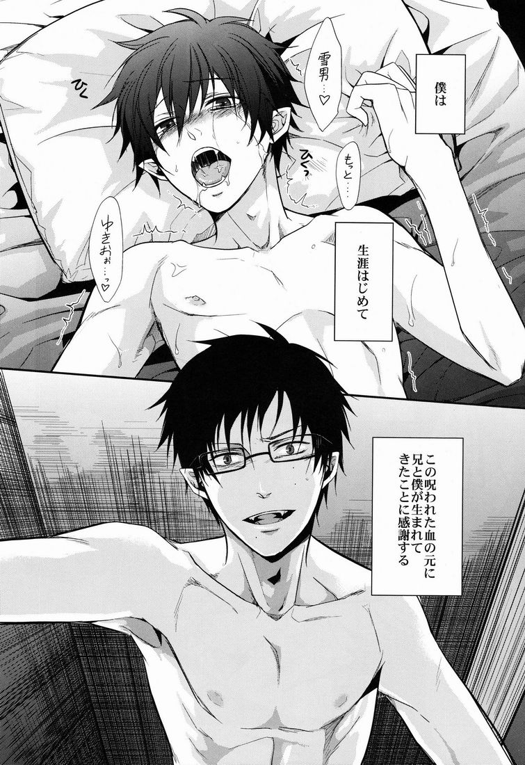 (SPARK6) [FIZZCODE (Satonishi)] Anata Shika Mitasenai. (Ao no Exorcist) page 17 full