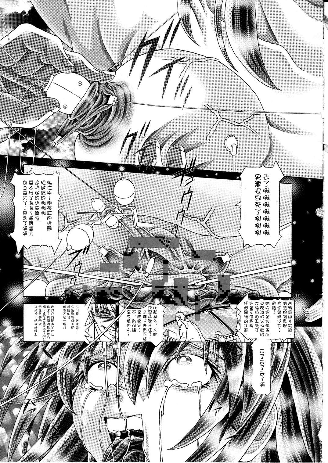 (C77) [Kaki no Boo (Kakinomoto Utamaro)] RANDOM NUDE Vol.5 92 〔STELLAR LOUSSIER〕 (Gundam Seed Destiny)【chinese】 page 42 full