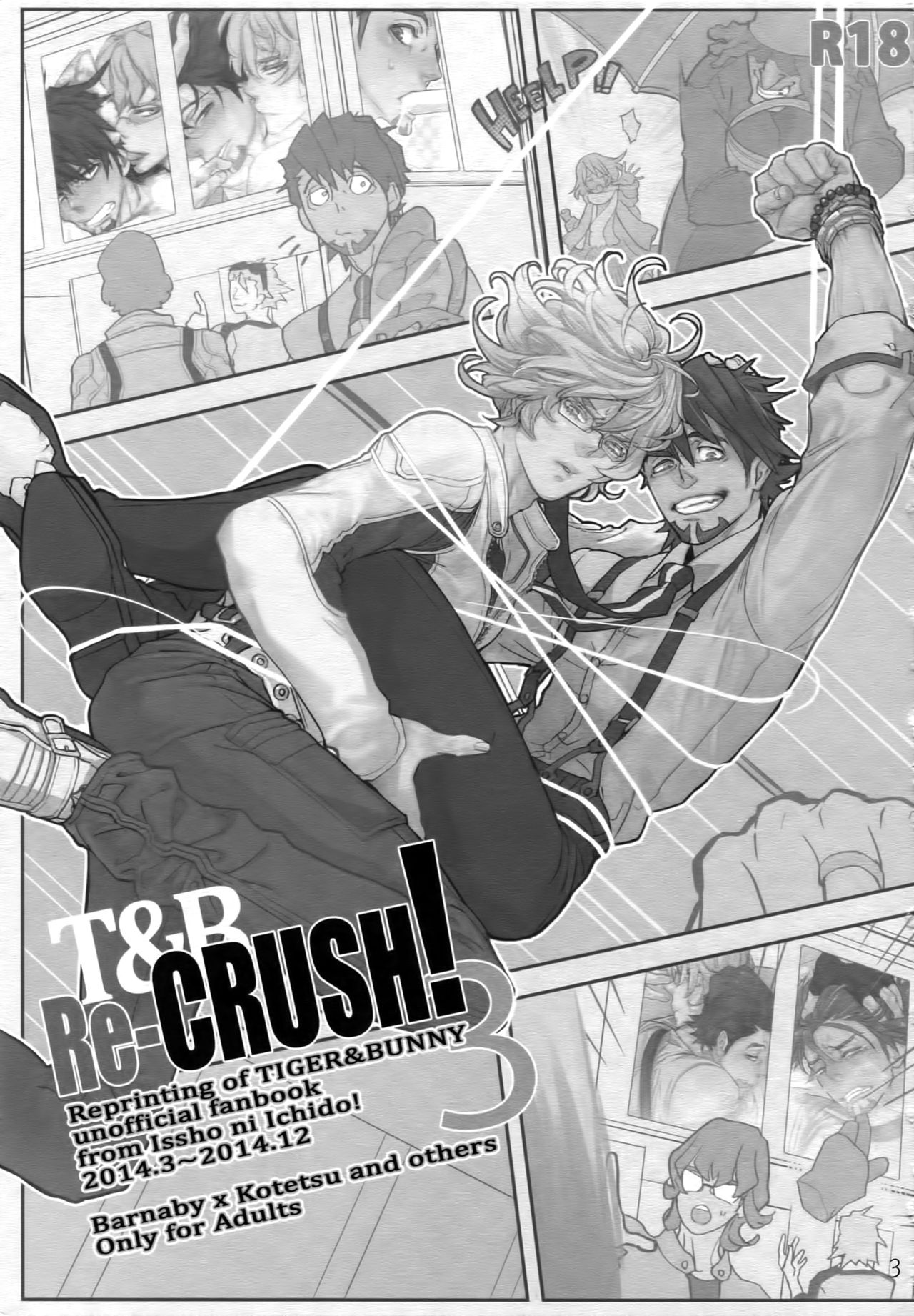 (C90) [Isshou ni Ichido! (Mokkori)] T&B Re-CRUSH!3 (TIGER & BUNNY) page 2 full