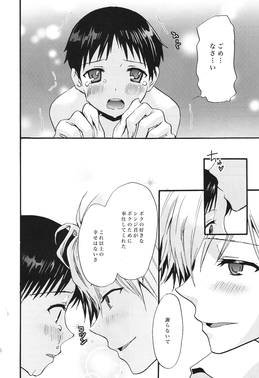 (C79) [Raytrec (Fuyunagi Reku)] Service Works (Neon Genesis Evangelion) page 15 full
