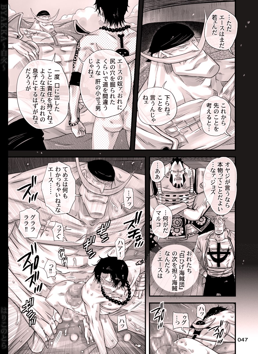 [Hariko no Tora (Midoh Torako)] BYAKKA (One Piece) [Digital] page 47 full