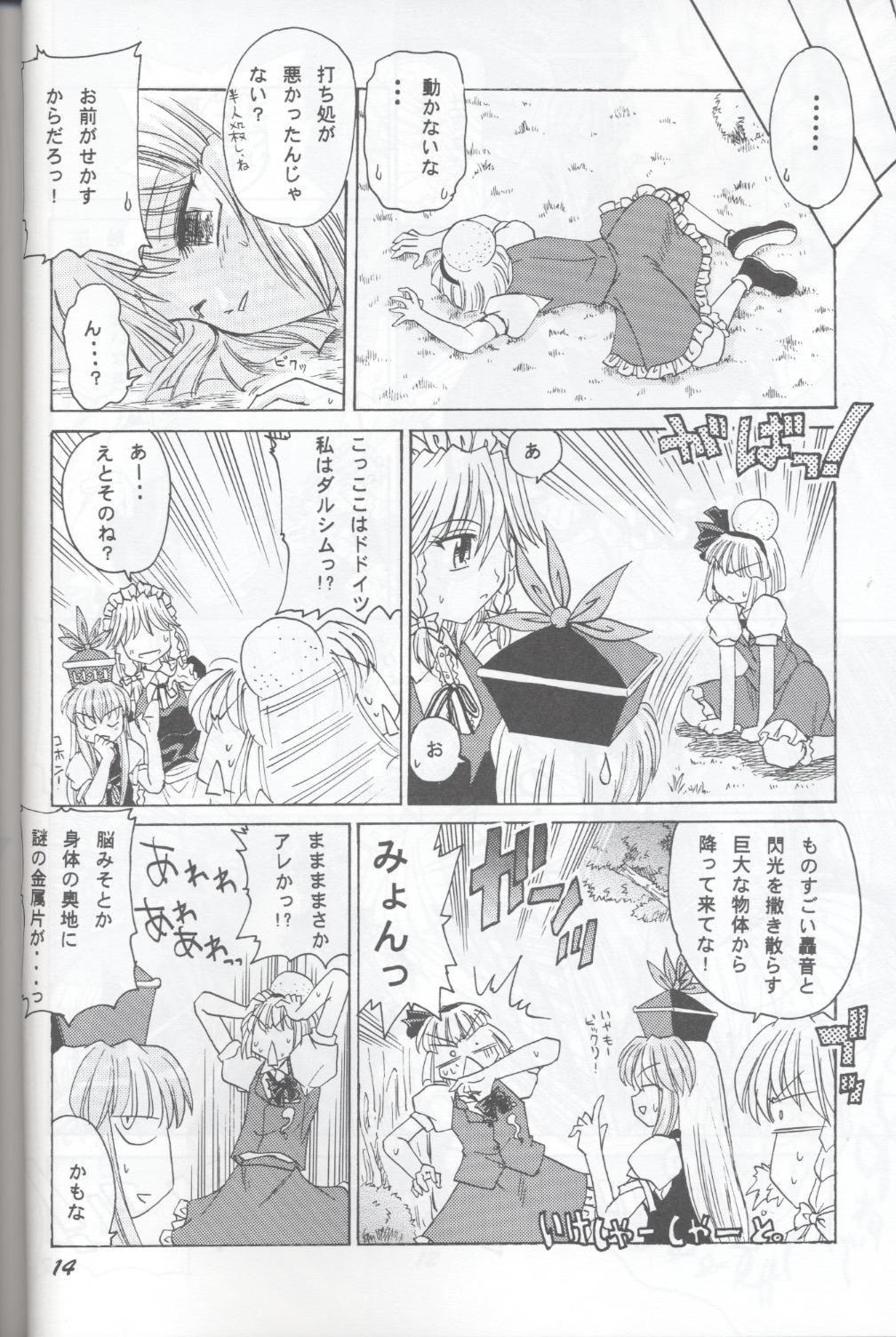 [双月亭] 半獣半霊騒動記 (東方) page 14 full