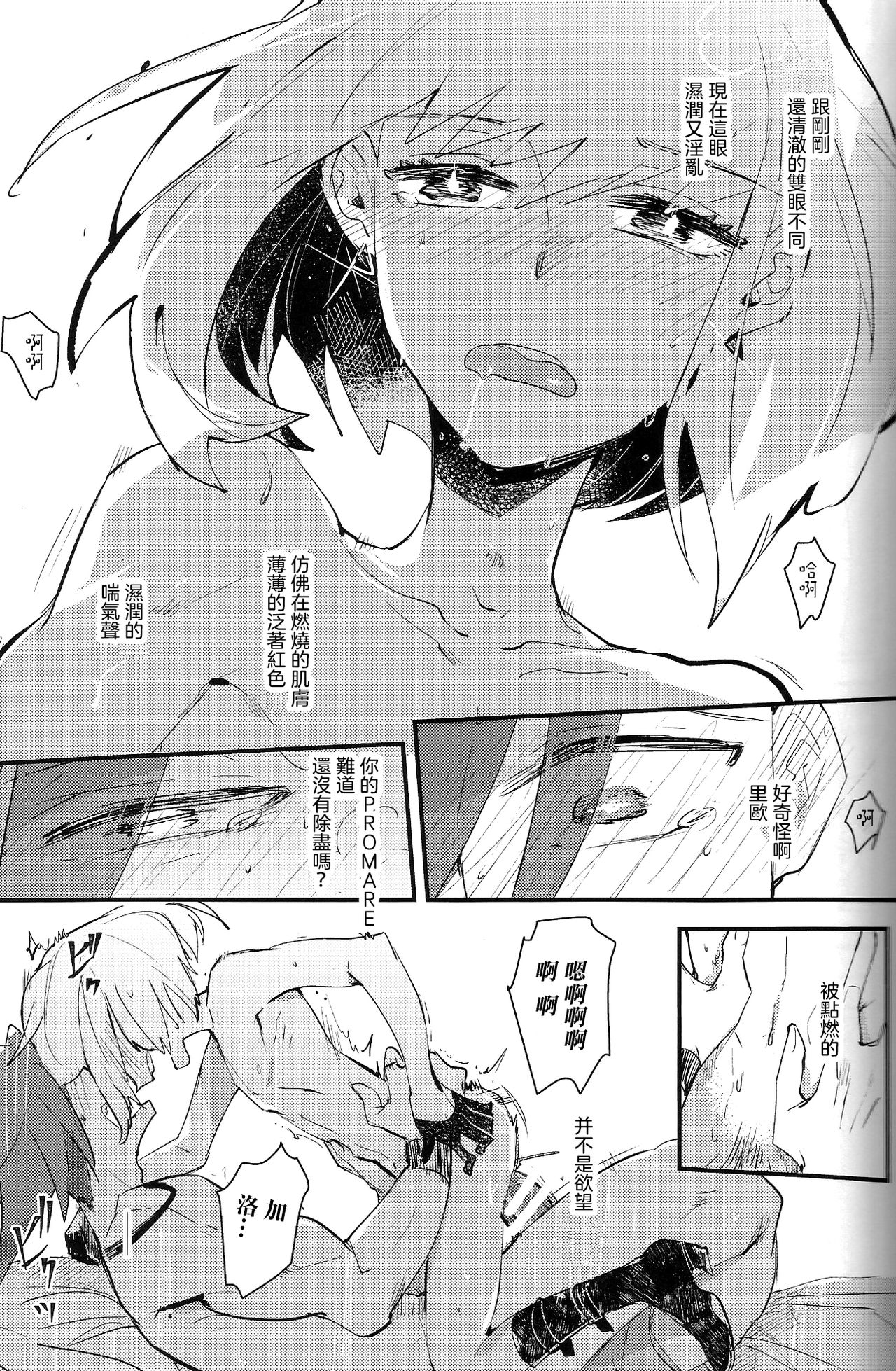 [KARAS Oushigata (KARAS Oushigata)] 2INFLAMEs ~Twin Flame~ (Promare) [Chinese] [沒有漢化] page 19 full