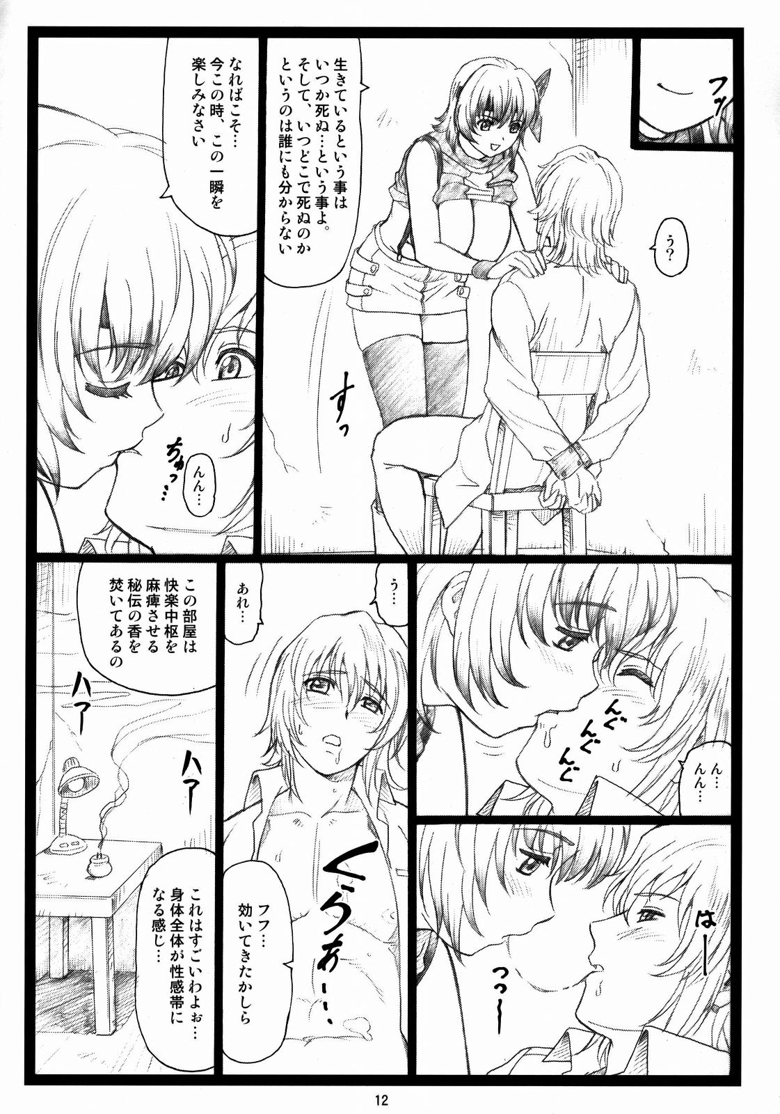 (C73) [Ohkura Bekkan (Ohkura Kazuya)] Haitoku no Yakata ~Ayane to Kokoro~ (Dead or Alive) page 11 full