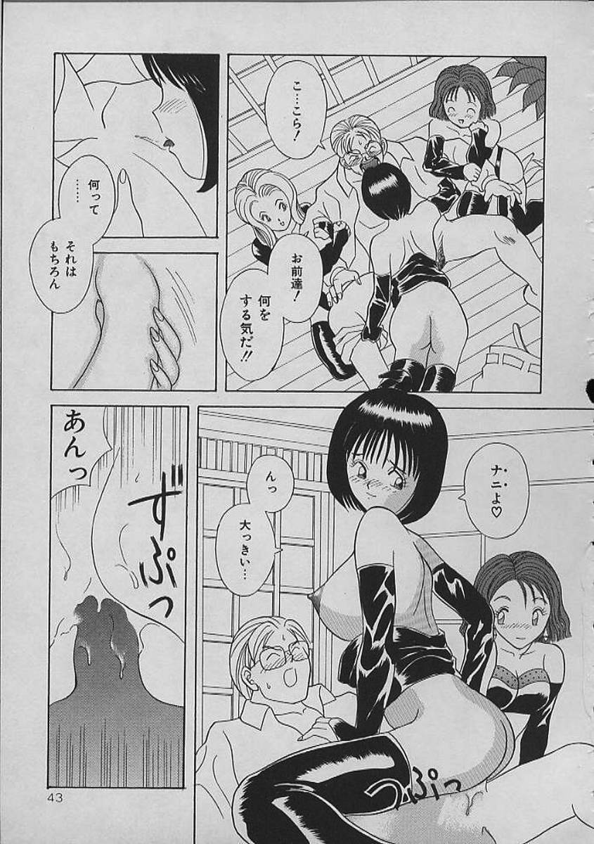 [Kawamori Misaki] Night Sisters page 43 full