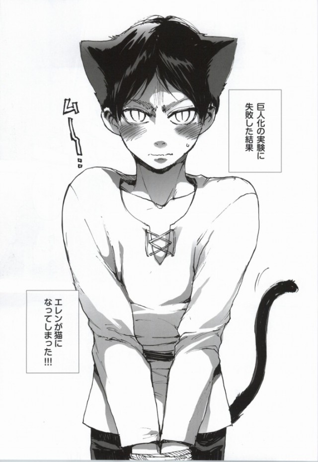 (C86) [Ongire (Tamy)] Neko ni Natta Buka ga Katte ni Hatsujou Shite Sugoku Komaru (Shingeki no Kyojin) page 2 full