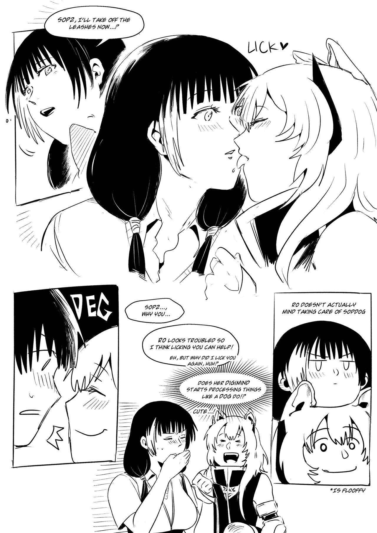 16ROSOP page 13 full