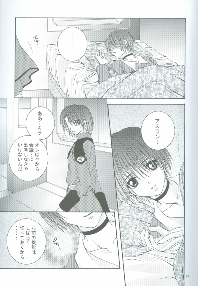 (CCOsaka44) [W.QUAKE (Anryuu Hina)] Crystal Universe (Gundam Seed) page 22 full