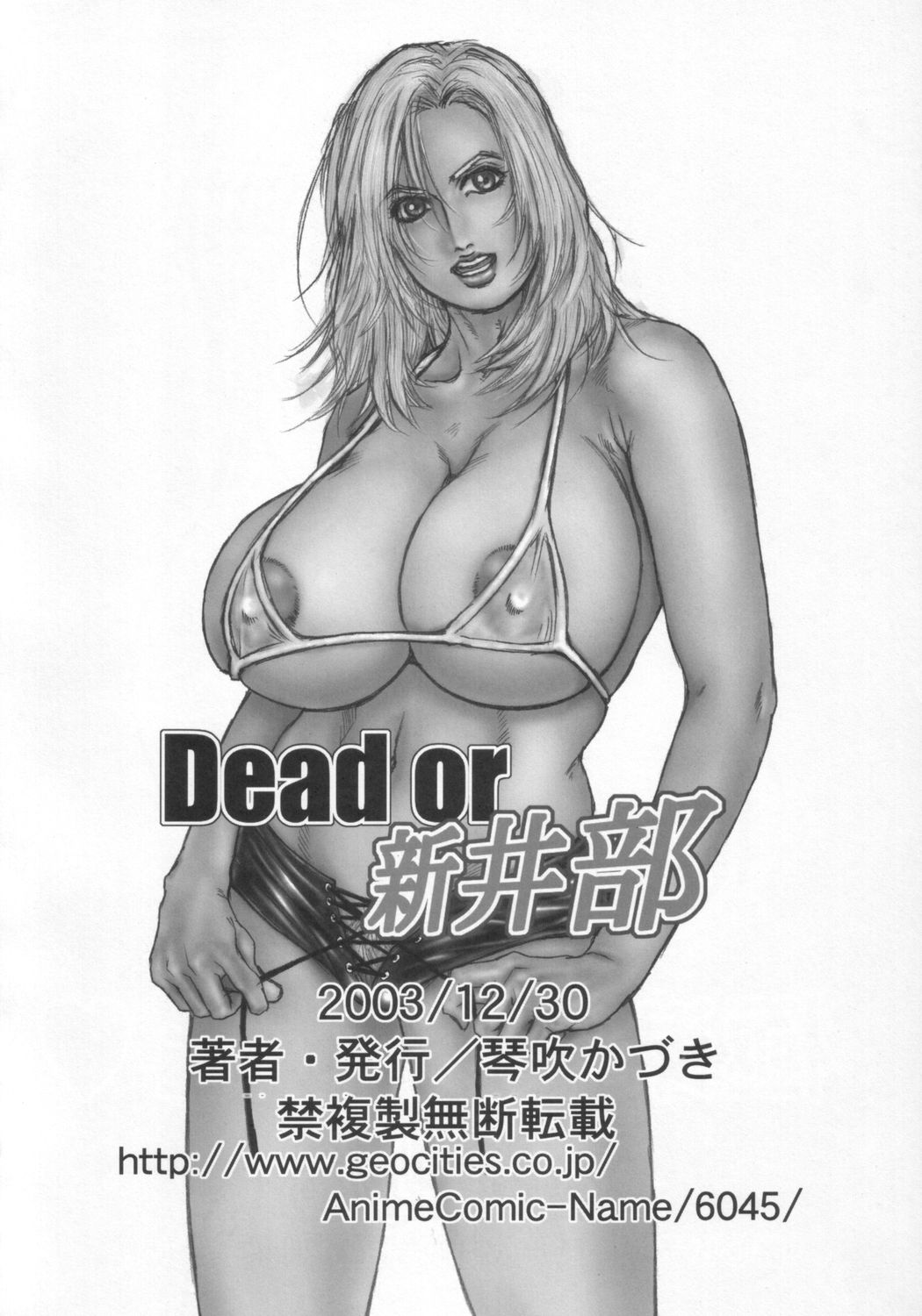 (C65) [H&K (Kotobuki Kazuki)] Dead or Alive (Dead or Alive) page 29 full