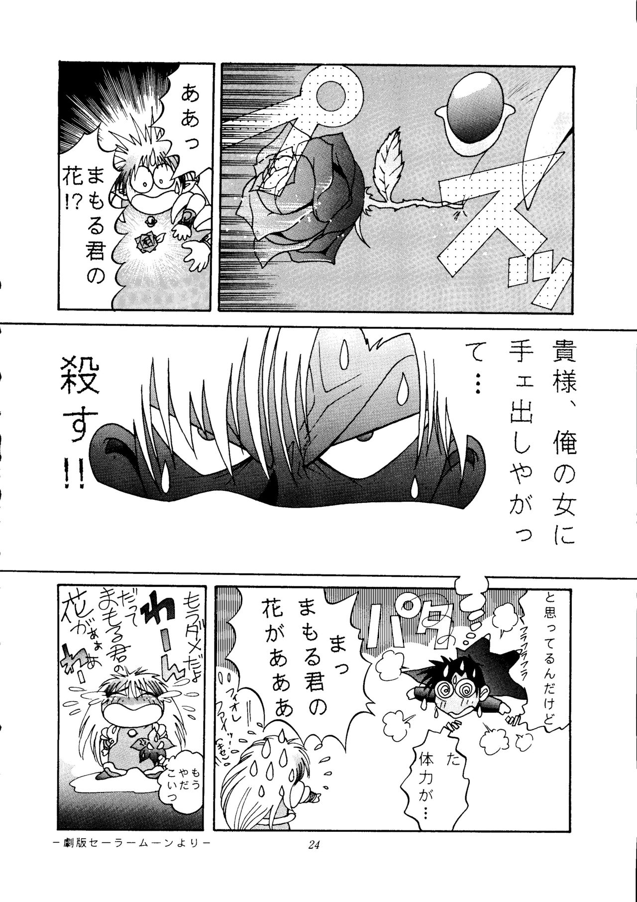 [Shounen Yuuichirou (Various)] Gekijouban Special (Bishoujo Senshi Sailor Moon) page 23 full