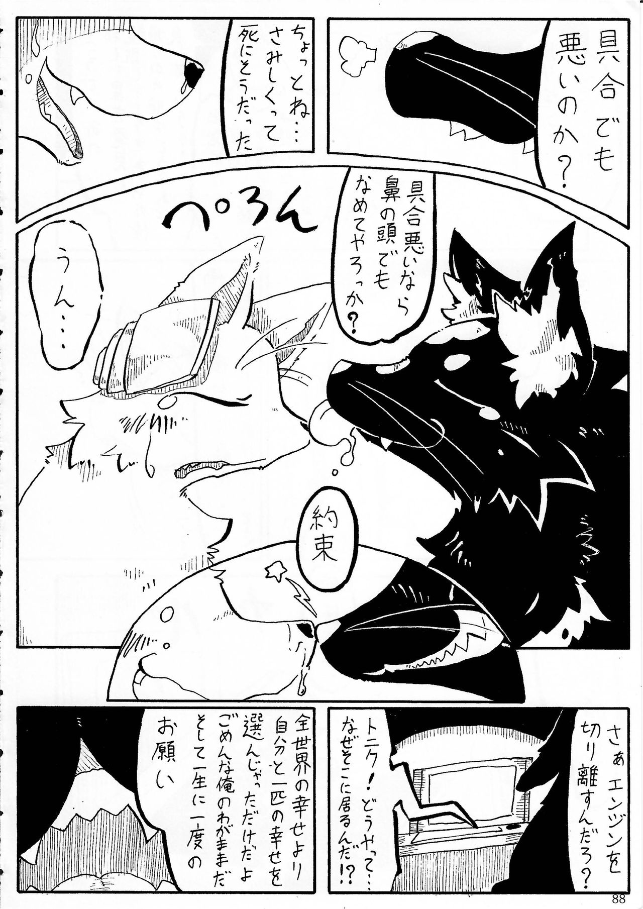 (Kansai! Kemoket 2) [KTQ48 (Various)] KTQ 5 page 75 full