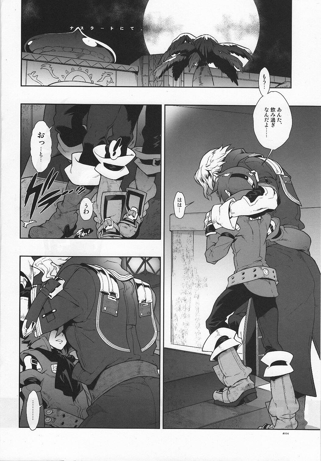 (C79) [Article 60 of Criminal Code (Shuhan)] Snowdrop. (Skies of Arcadia) page 4 full