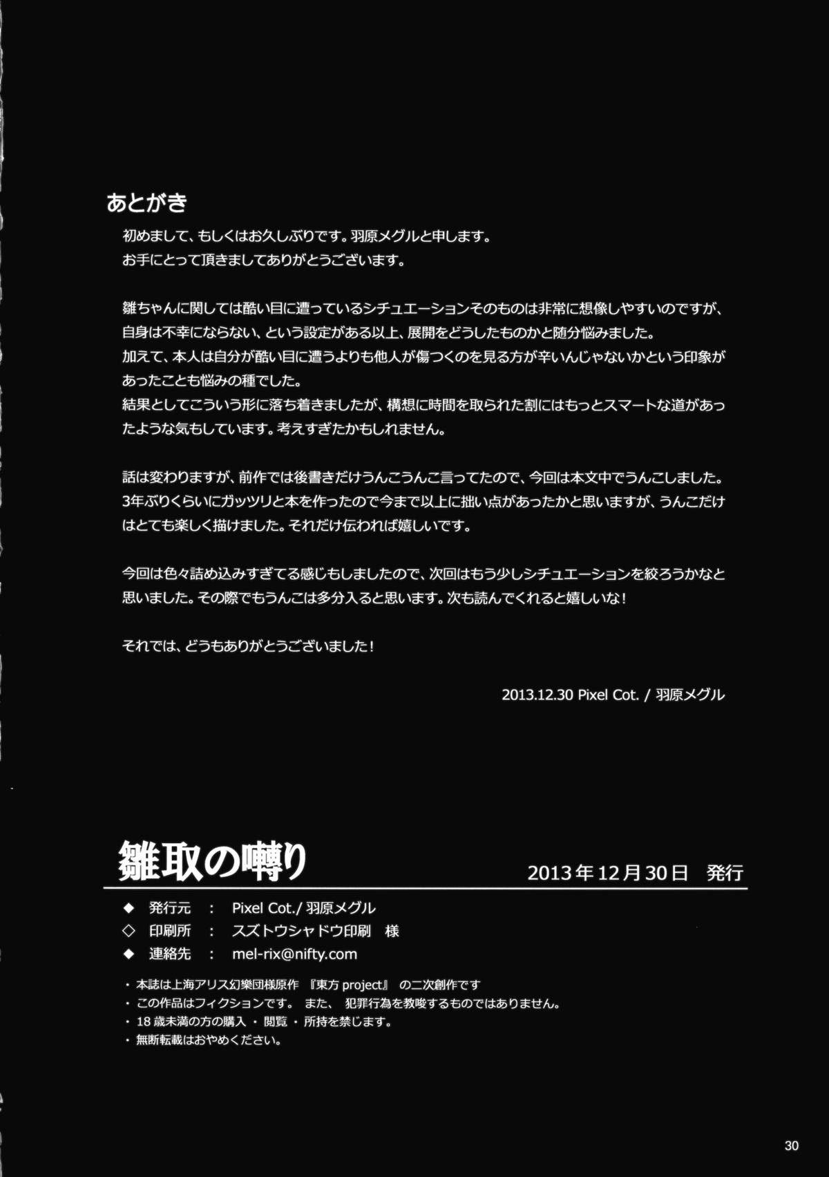 (C85) [Pixel Cot. (Habara Meguru)] Hinato no Saezari (Touhou Project) page 29 full