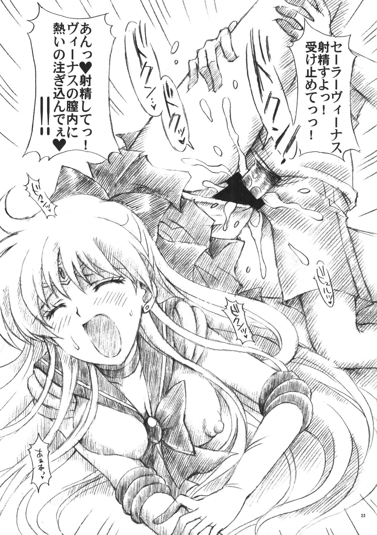 (C74) [Kotori Jimusho (Sakura Bunchou)] Chanson de I'adieu 3 (Bishoujo Senshi Sailor Moon) page 22 full
