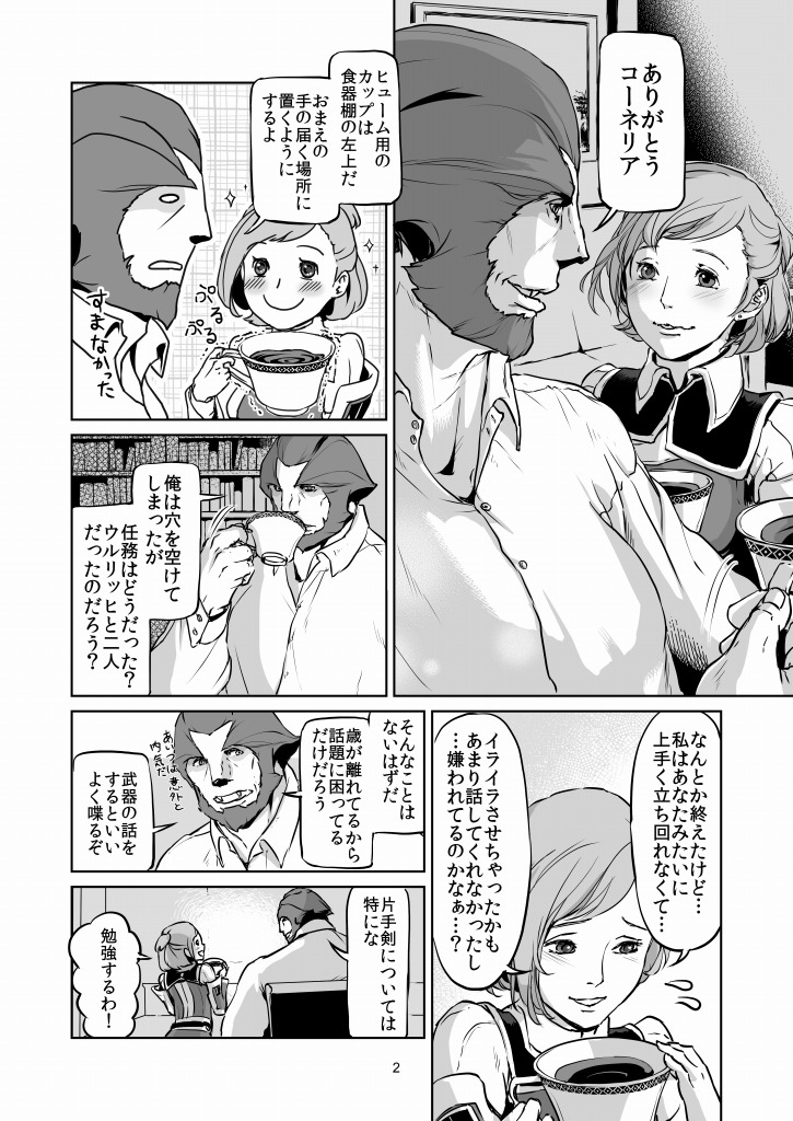 [Natsu Mica] 意 味【ラオグリム×コーネリア】 (Final Fantasy 11) page 3 full