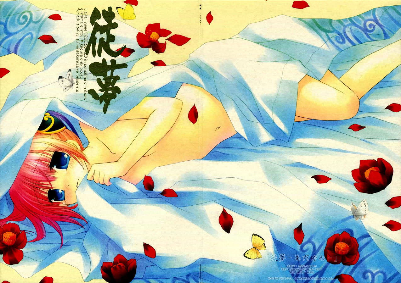 (SC31) [CHRONOLOG (Sakurazawa Izumi)] Adayume (Gintama) page 2 full