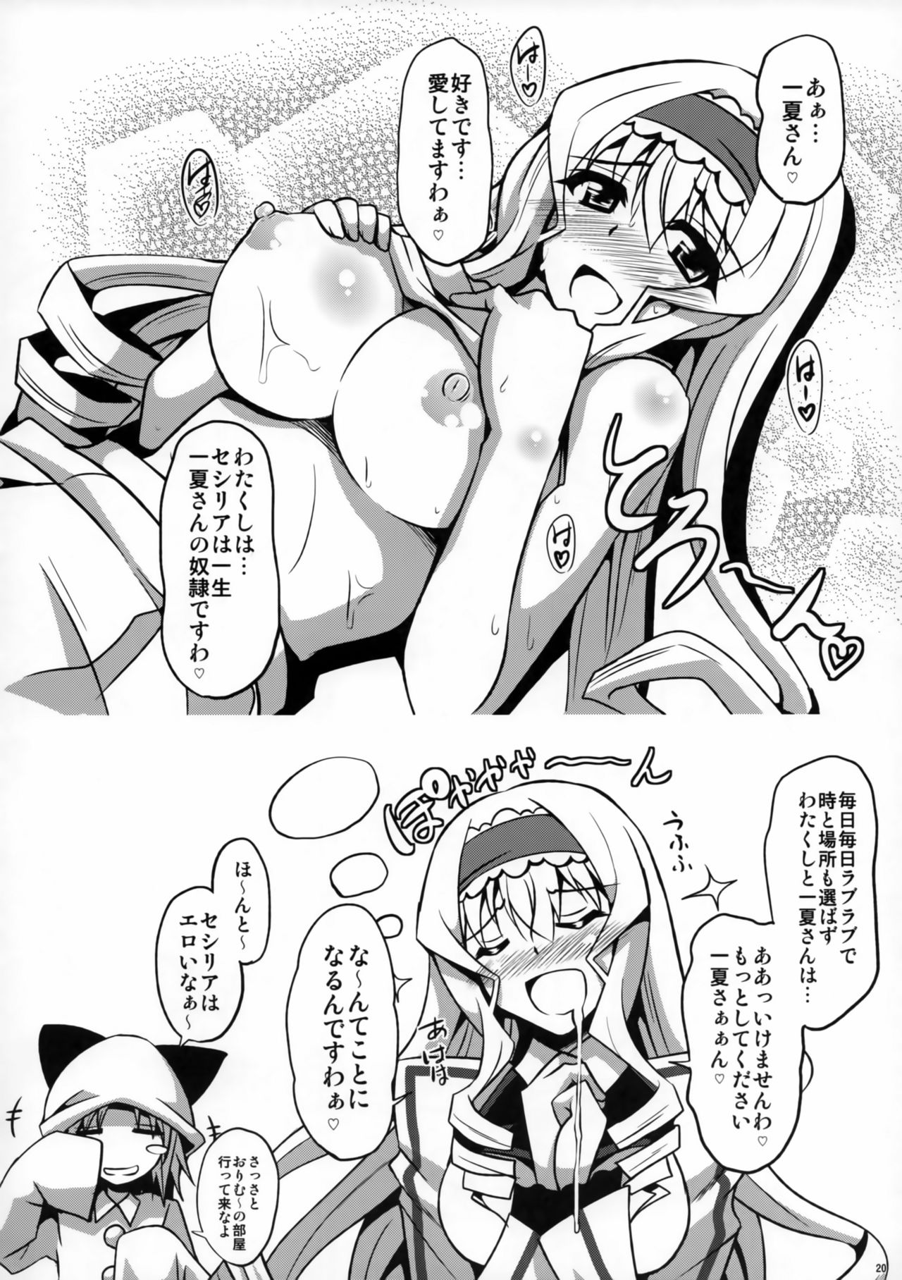 (C80) [Dokomademo Aoi Sora ni Ukabu Niku. (Nikusoukyuu.)] Tsui Kyun (IS <Infinite Stratos>) page 19 full