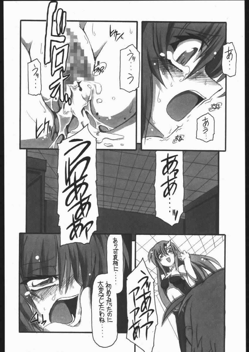 [NNZ Dan] Kawaii Saa Matte!! (Gundam SEED Destiny) page 27 full