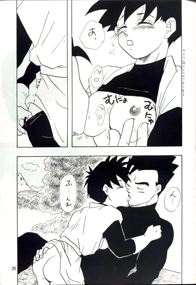 [Chirigami Goya, Fusuma go Ten (Shouji Hariko)] YYY (Dragon Ball) page 25 full