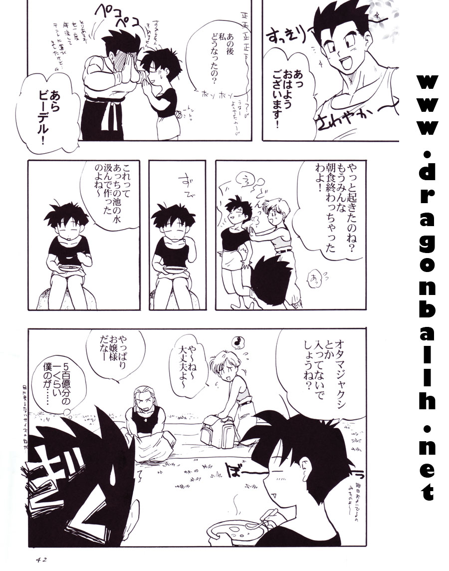 (C54) [Chirigami Goya, Fusuma go Ten (Shoji Hariko)] Tirinuruwo (DRAGON BALL) page 41 full