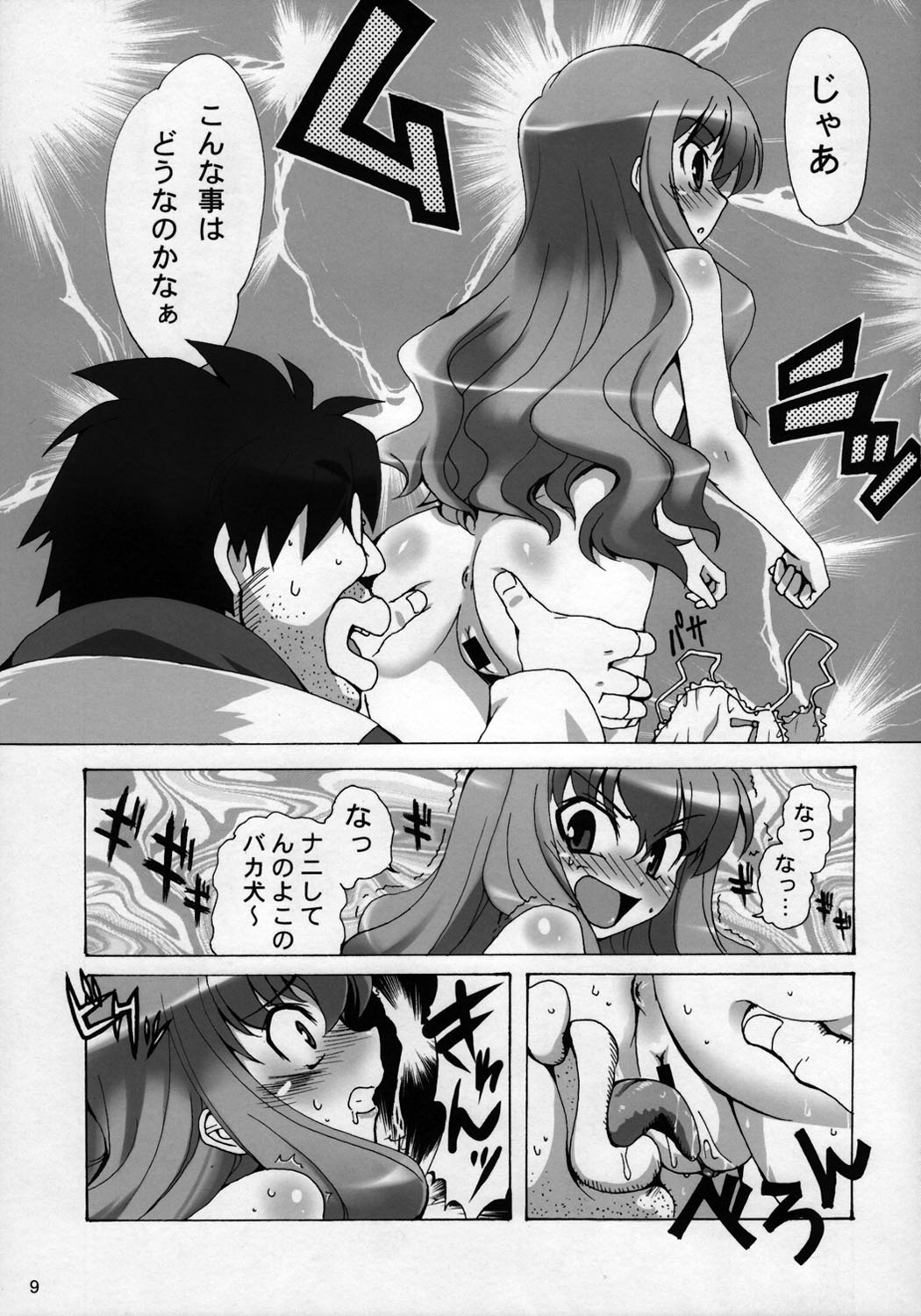 [SION (Hotori)] Boku wa Louise to Sex Suru!! (Zero no Tsukaima) page 10 full