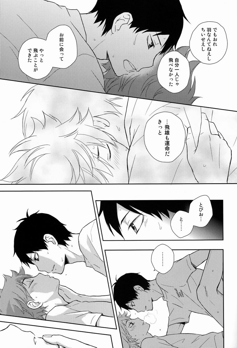 (IDLING ATTACKER) [NIA (Sawa)] HISHOU (Haikyuu!!) page 12 full