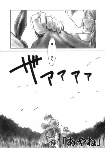 (C58) [Hellabunna (Iruma Kamiri)] INU/MURASAKI (Dead or Alive) - page 24