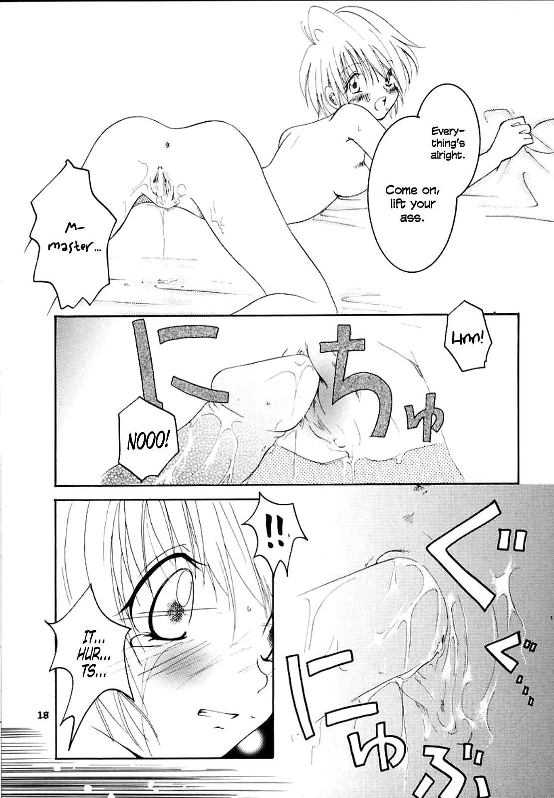 [Sakurara & Cherry (Sakura Mitsuru)] Pink Snow memoria (Hunter x Hunter)english page 15 full