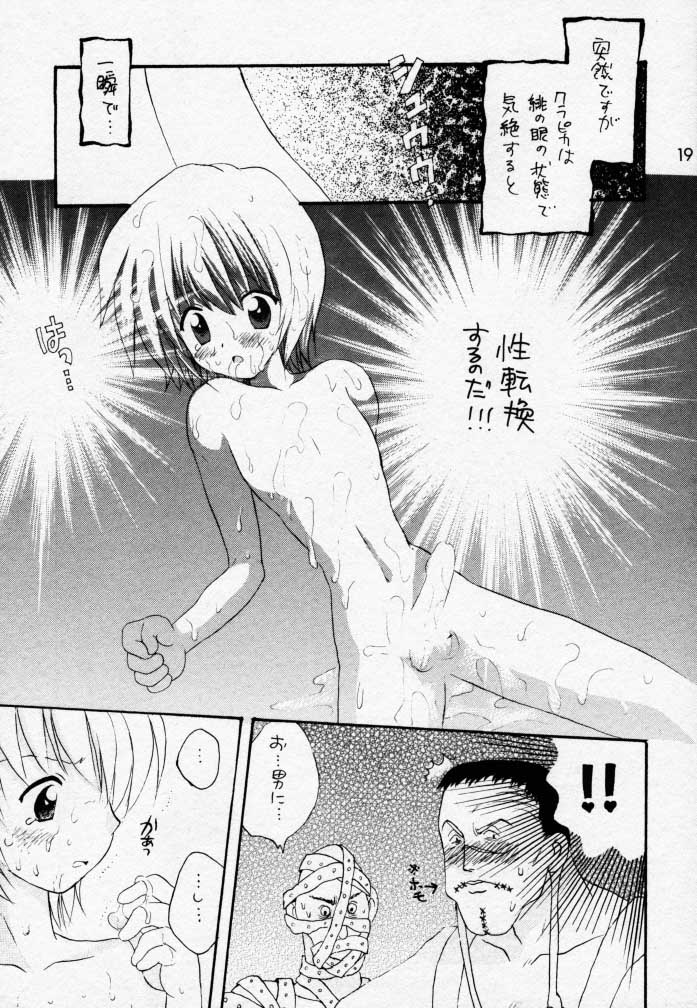 (C58) [KuruGuru DNA, Haniwa Mania (Hoshiai Hilo, Pon Takahanada)] Akai Tori Nigeta (Hunter x Hunter, Neon Genesis Evangelion) page 18 full