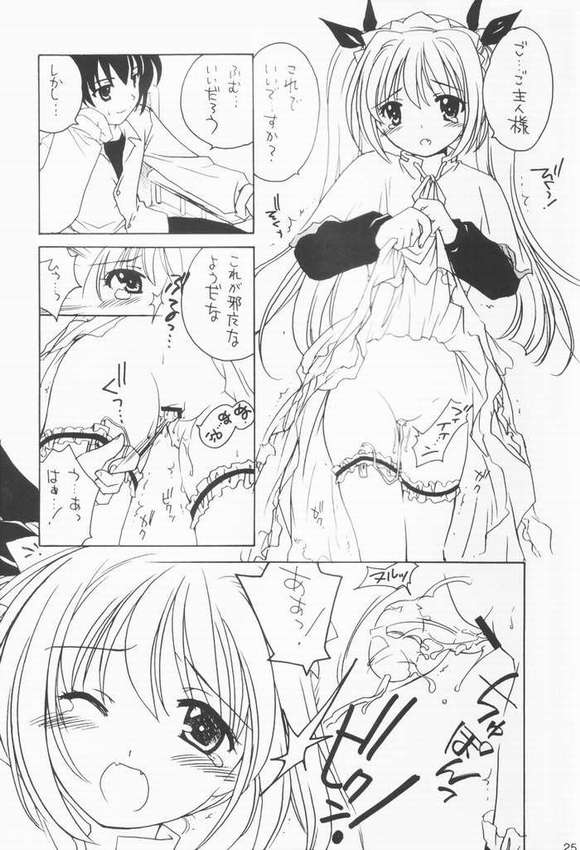 (C65) [Purin Yokochou (Ouka Sushi)] Clover Twins (Clover Hearts) page 24 full