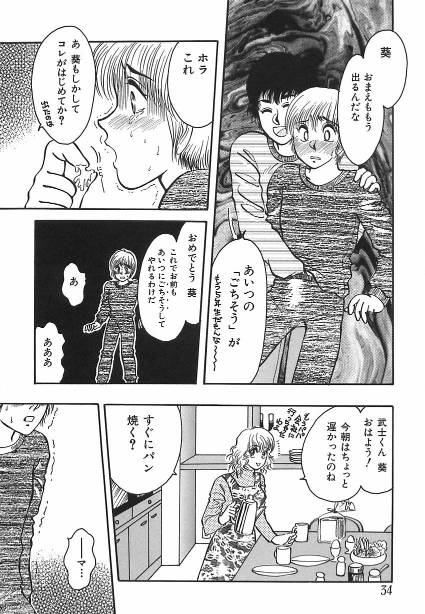 [Rumoi jun] shiawase kazoku (HappyFamily) page 34 full