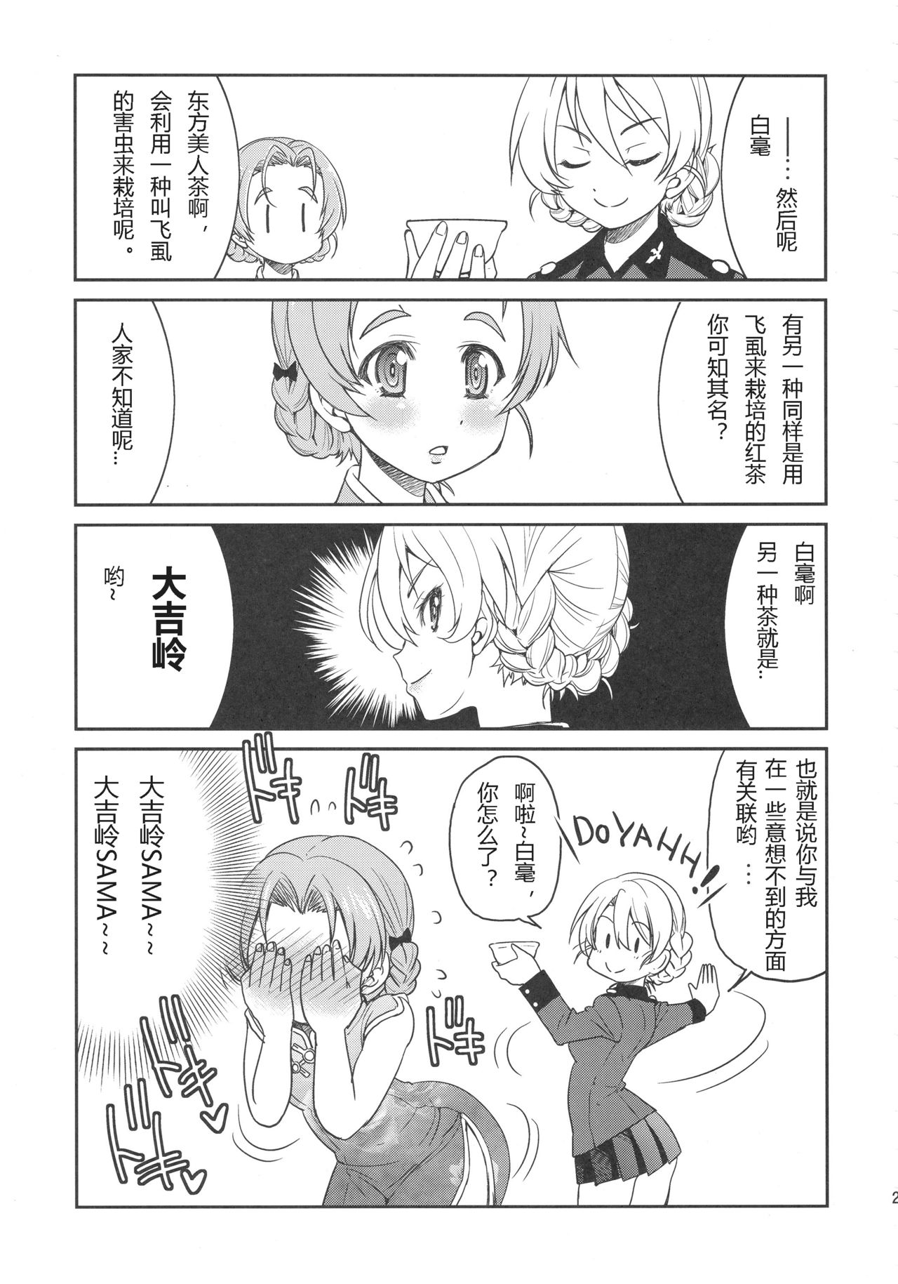 (SC2017 Autumn) [Ponyfarm (Inoue Yoshihisa)] Darjeeling-sama no Ponytail (Girls und Panzer) [Chinese] [79G个人汉化] page 20 full