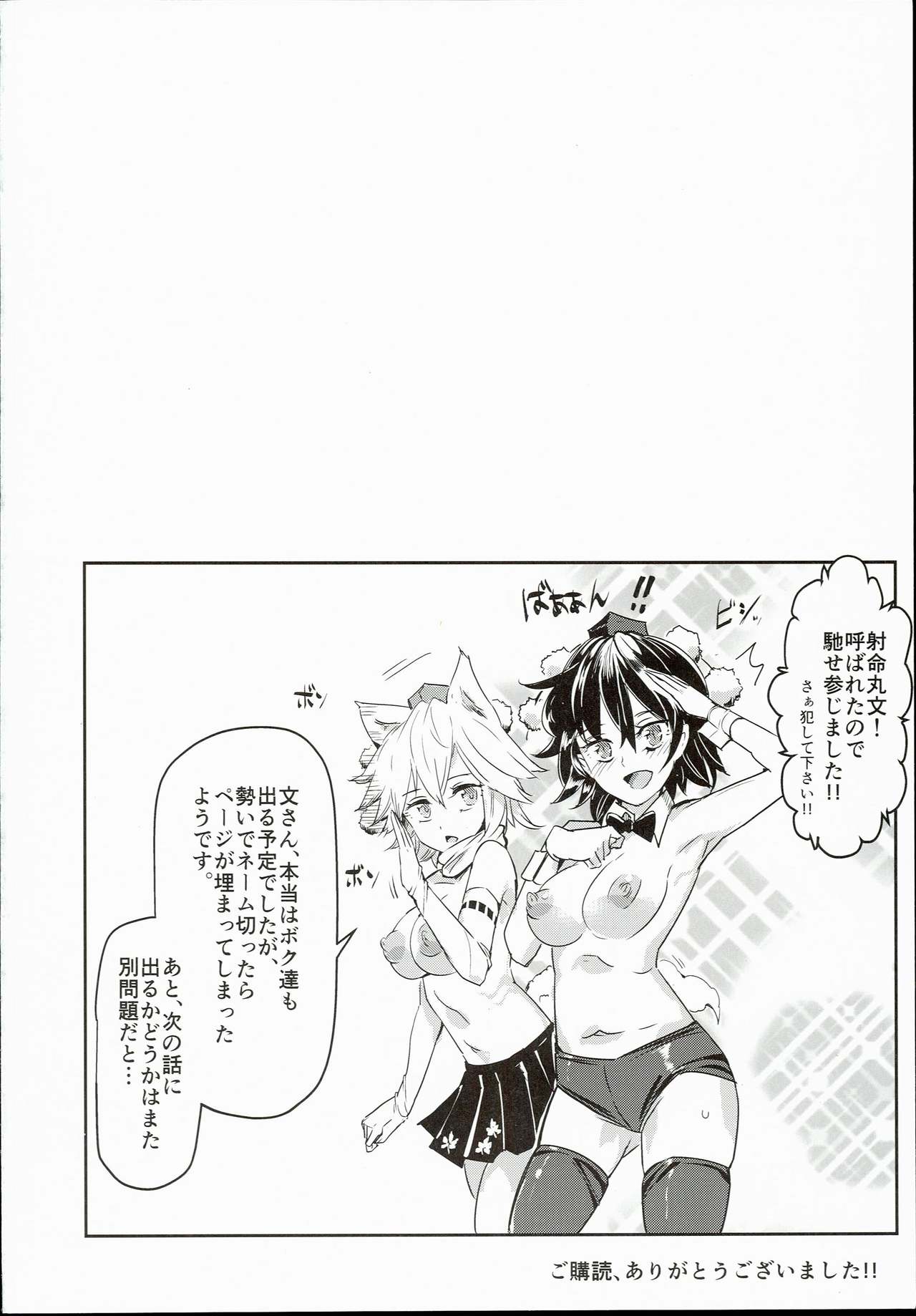 (C90) [Nyuu Koubou (Nyuu)] Oidemase!! Jiyuu Fuuzoku Gensoukyou 2-haku 3-kka no Tabi Minaduki (Touhou Project) page 30 full
