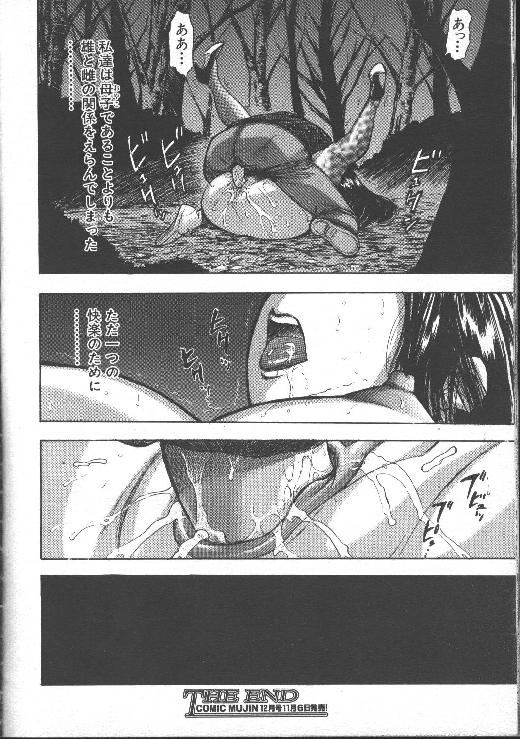 Comic Mujin 1999-11 page 34 full