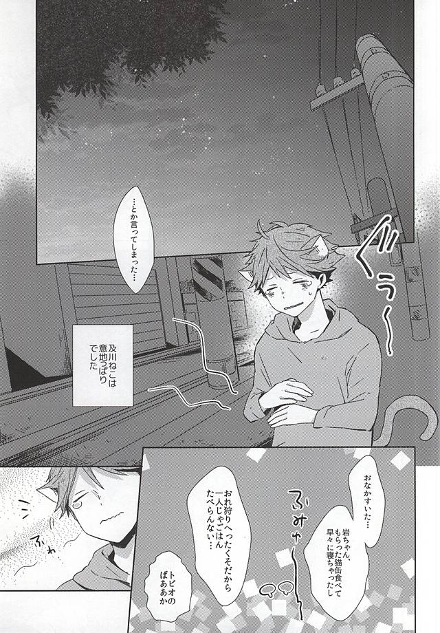 (RTS!!5) [Shounen-H (Yuuki)] Neko ni Natta Oikawa-san (Haikyuu!!) page 6 full