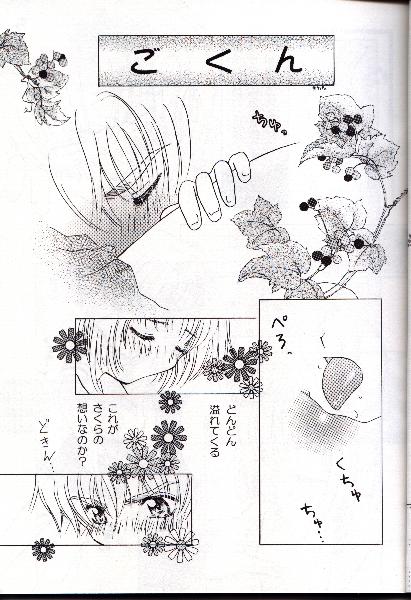 [Abe Ryu] [2000 Summer] Wolf and Cherry page 15 full