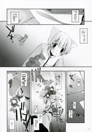 (C73) [Digital Lover (Nakajima Yuka)] D.L. Action 41 (Ragnarok Online) - page 21