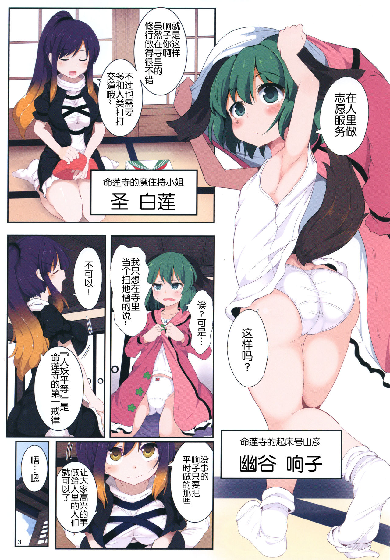 (C92) [Lolimate Seizou Koujou (Lolimate)] Souda Kyouko Nukou. (Touhou Project)[Chinese] page 3 full