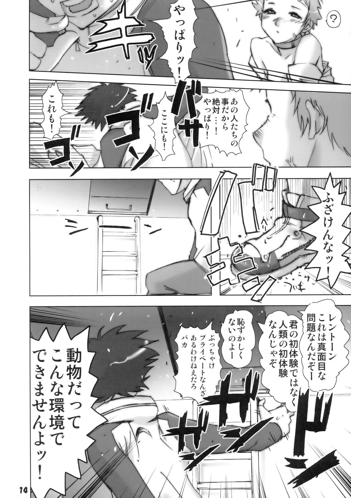 (C69) [Rikudoukan (Aoneko, INAZUMA., Rikudou Koushi)] Rikudou no Eureka (Eureka 7, My Melody, PreCure) page 13 full